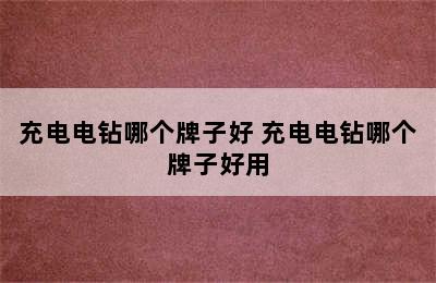 充电电钻哪个牌子好 充电电钻哪个牌子好用